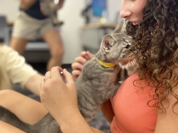 Girl holding a cat